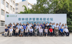 十大网上赌博网站排行榜